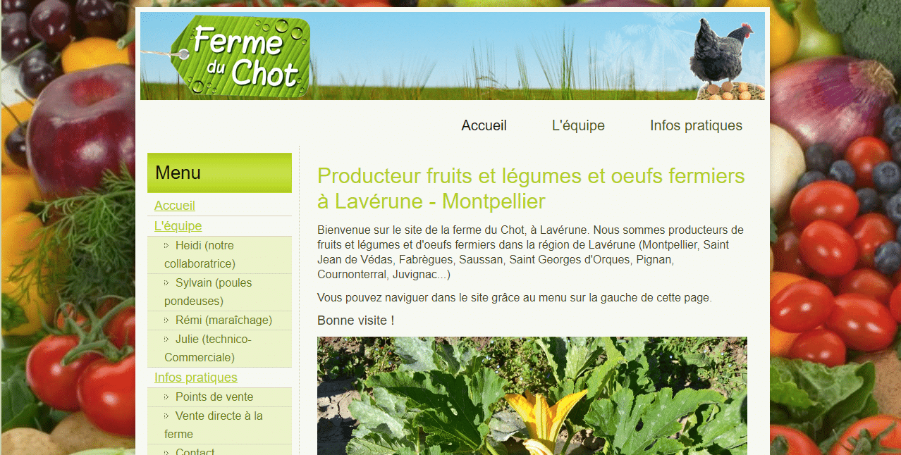 Création site internet Montpellier agriculteur